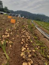 팜모닝 자유주제·건의해요 게시글 이미지