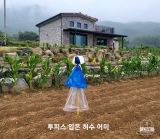 조용길님의 콩 · 자유게시판 작성글 사진