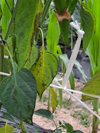 상수기님의 자유주제 · 자유게시판 작성글 사진