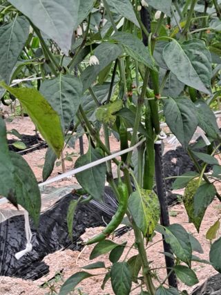 상수기님의 자유주제 · 자유게시판 작성글 사진