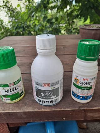 상수기님의 자유주제 · 자유게시판 작성글 사진