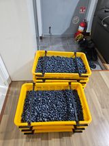 팜모닝 장마 대비 어떻게 하셨나요?·참여 게시글 이미지