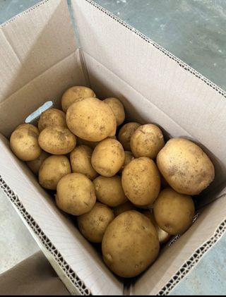 황병호님의 작성글 사진