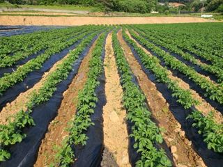 황병호님의 작성글 사진