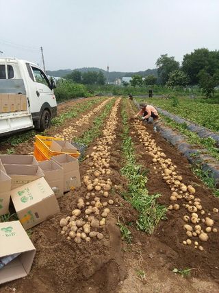 황병호님의 작성글 사진