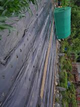 팜모닝 자유주제·자유게시판 게시글 이미지