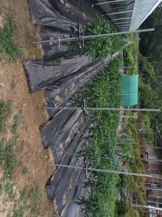 행복의집1592님의 자유주제 · 자유게시판 작성글 사진