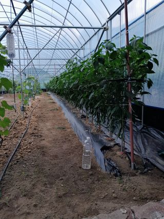 행복의집1592님의 자유주제 · 자유게시판 작성글 사진