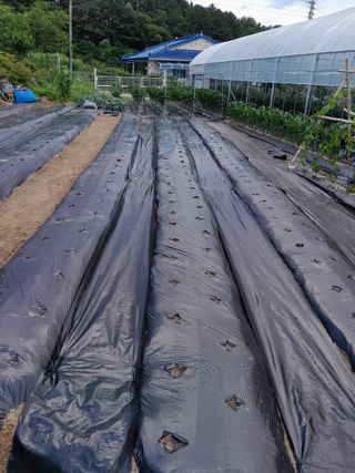 행복의집1592님의 장마 대비 어떻게 하셨나요? · 참여 작성글 사진