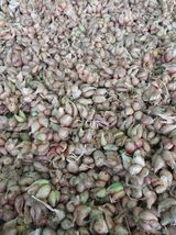 팜모닝 · 게시글 이미지