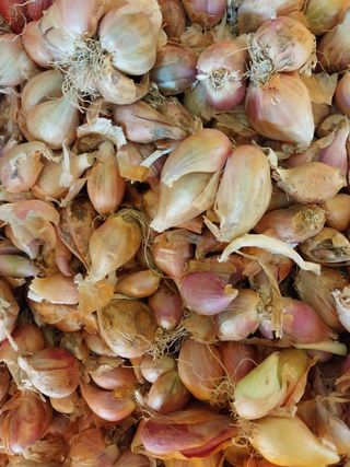 김창순님의 작성글 사진