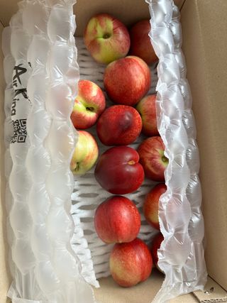 김나리님의 자유주제 · 자유게시판 작성글 사진