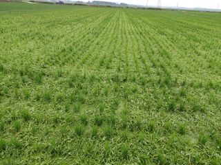 곽종근님의 장마 대비 어떻게 하셨나요? · 참여 작성글 사진