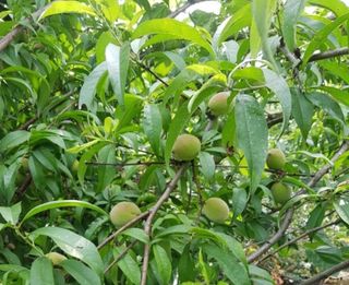 신선옥님의 작성글 사진