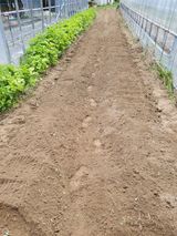 팜모닝 장마 대비 어떻게 하셨나요?·참여 게시글 이미지