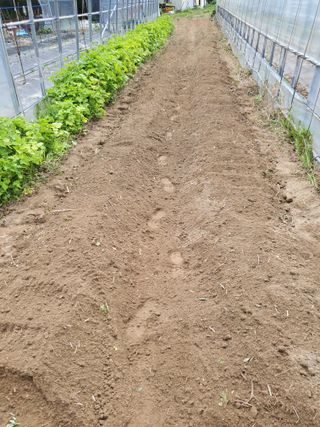 고성아로니아 님의 장마 대비 어떻게 하셨나요? · 참여 작성글 사진