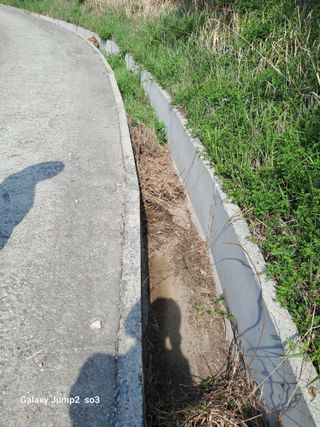 김광국님의 장마 대비 어떻게 하셨나요? · 참여 작성글 사진