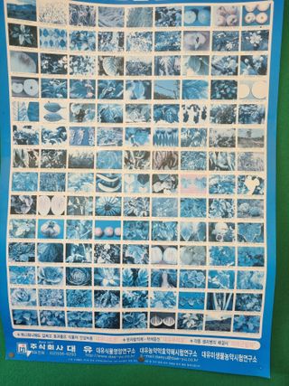 알 수 없음님의 자유주제 · 자유게시판 작성글 사진