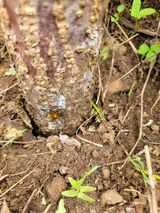 팜모닝 매일매일 농사공부·자유게시판 게시글 이미지