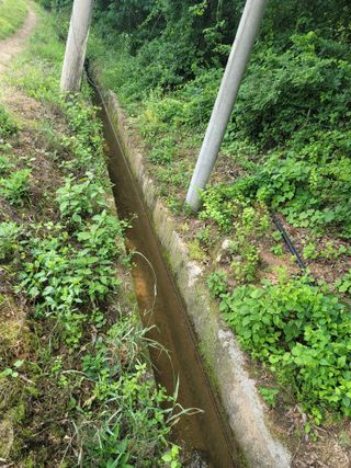 영이님의 장마 대비 어떻게 하셨나요? · 참여 작성글 사진