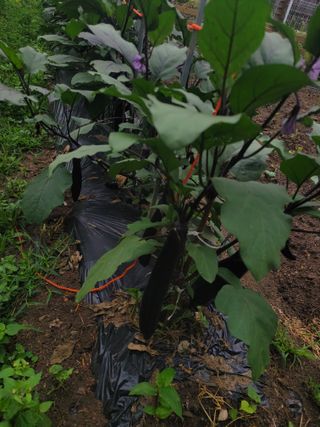 조영락님의 자유주제 · 사진전 작성글 사진