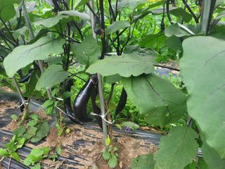 조영락님의 자유주제 · 사진전 작성글 사진