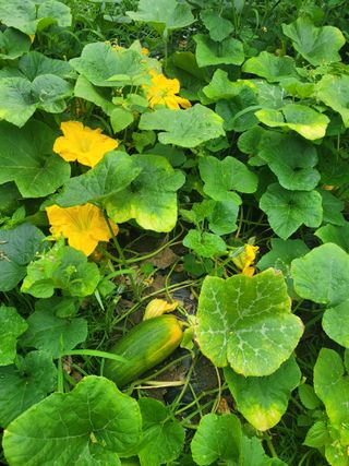 조영락님의 자유주제 · 사진전 작성글 사진