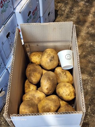 김태환님의 작성글 사진