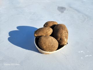 김태환님의 작성글 사진