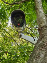 팜모닝 기타작물·영농일지 게시글 이미지