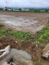 팜모닝 장마 대비 어떻게 하셨나요?·참여 게시글 이미지