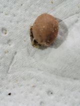 팜모닝 자유주제·자유게시판 게시글 이미지