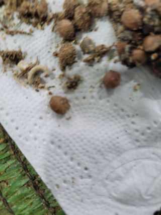 김학원님의 자유주제 · 자유게시판 작성글 사진