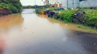 김화석님의 장마 대비 어떻게 하셨나요? · 참여 작성글 사진