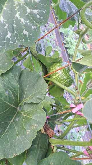 전남무안군박옥주님의 자유주제 · 사진전 작성글 사진