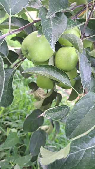 전남무안군박옥주님의 자유주제 · 사진전 작성글 사진