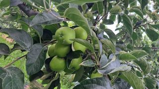 전남무안군박옥주님의 자유주제 · 사진전 작성글 사진