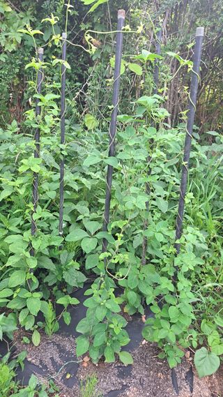 전남무안군박옥주님의 자유주제 · 사진전 작성글 사진