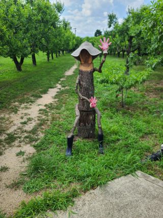 아ᆢ여름이다님의 우리동네 · 구합니다/도움요청 작성글 사진