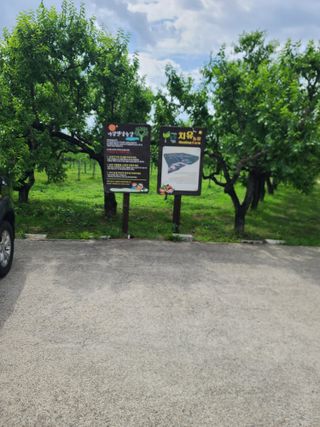 아ᆢ여름이다님의 우리동네 · 구합니다/도움요청 작성글 사진