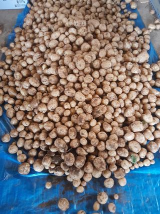 심재준님의 장마 대비 어떻게 하셨나요? · 참여 작성글 사진