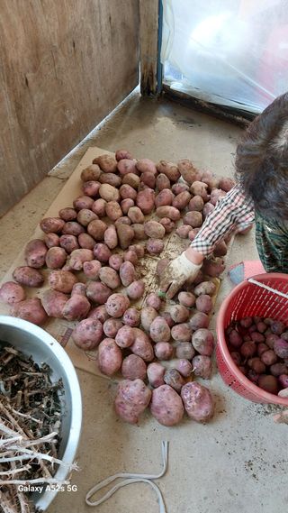 철희님의 우리동네 · 동네수다 작성글 사진