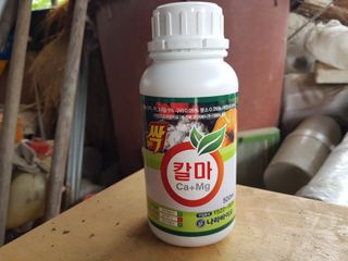 신동수님의 고추 · 영농일지 작성글 사진