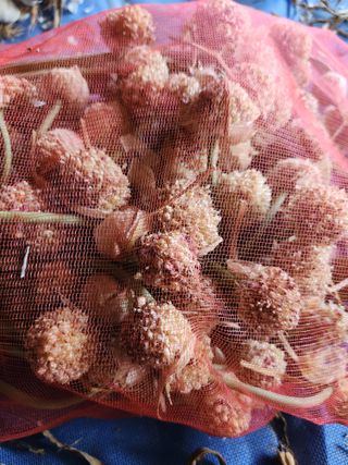 최승일님의 작성글 사진