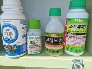 힐링농장님의 고추 · 비료•농약 작성글 사진