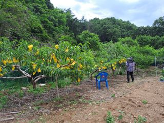 원영국님의 장마 대비 어떻게 하셨나요? · 참여 작성글 사진