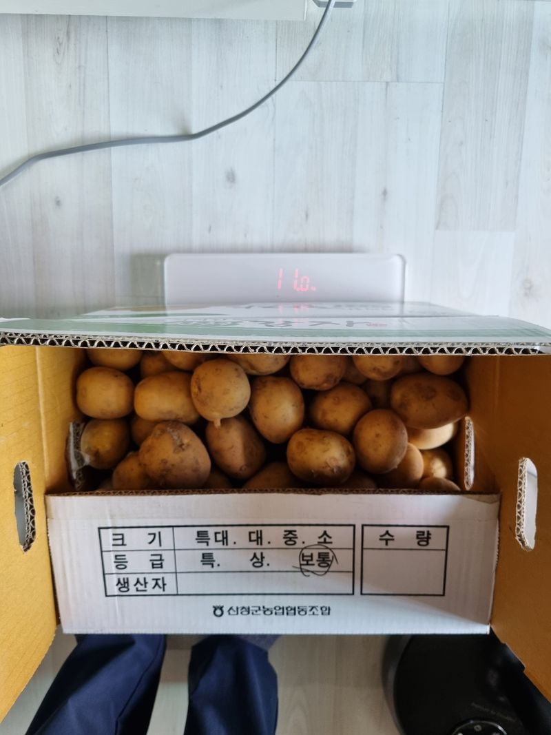 양파14130님의 장터 판매 상품 [햇 감자 10kg] 첨부 사진