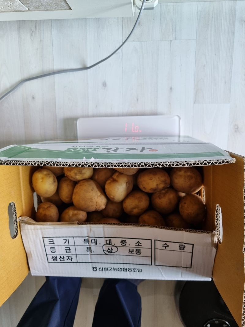 양파14130님의 장터 판매 상품 [햇 감자 10kg] 첨부 사진