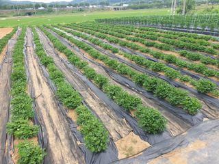 구봉갑산님의 장마 대비 어떻게 하셨나요? · 참여 작성글 사진