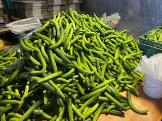 이승하님의 오이 · 자유게시판 작성글 사진